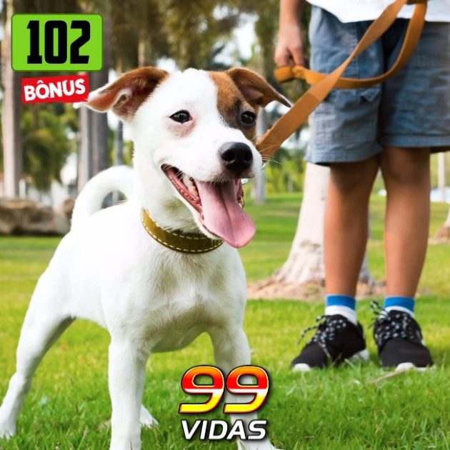 Bônus 102 – Medo de Calvice e Passeando com o Caramelo